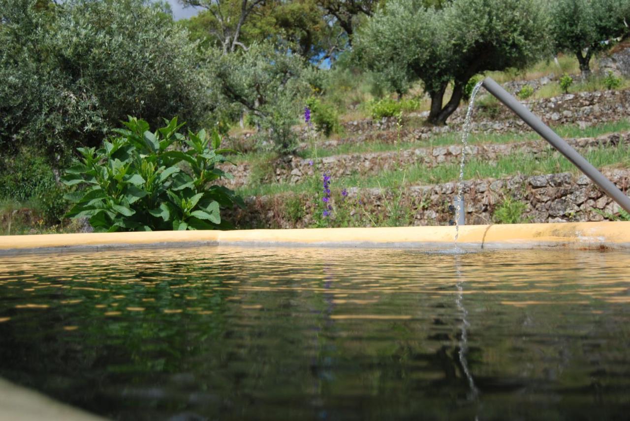 Villa Terrafazbem Marvão Esterno foto