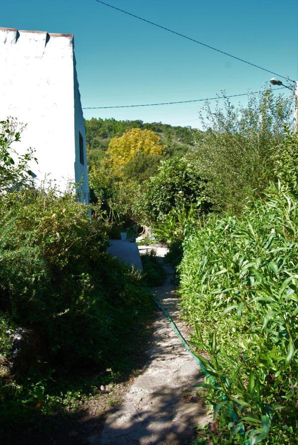 Villa Terrafazbem Marvão Esterno foto