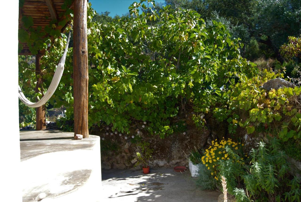 Villa Terrafazbem Marvão Esterno foto