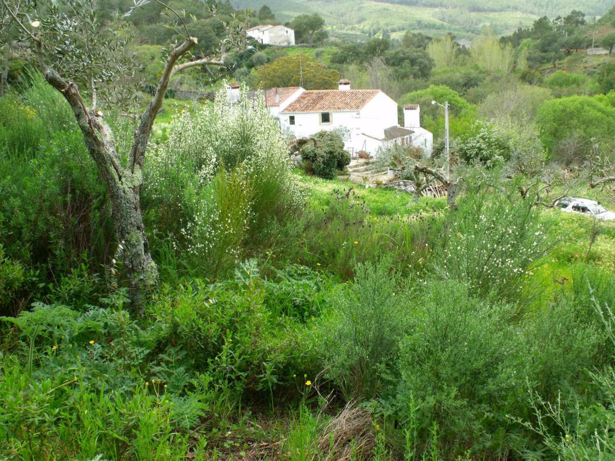 Villa Terrafazbem Marvão Esterno foto